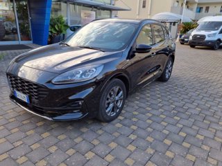 FORD Kuga 2.0 EcoBlue Hybrid 150 CV 2WD ST-Line X