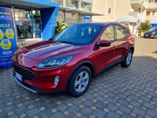 FORD Kuga 1.5 EcoBoost 120 CV 2WD Connect