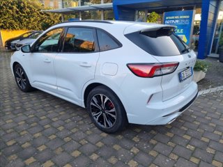 FORD Kuga 2.0 ecoblue mhev ST-Line 2wd 150cv