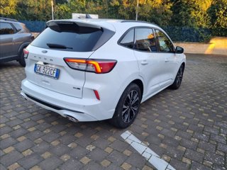 FORD Kuga 2.0 ecoblue mhev ST-Line 2wd 150cv