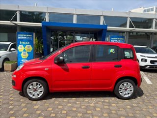FIAT Panda 1.2 Lounge 69cv
