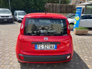FIAT Panda 1.2 Lounge 69cv