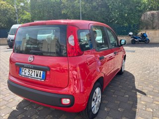 FIAT Panda 1.2 Lounge 69cv