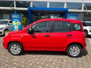 FIAT Panda 1.2 Lounge 69cv